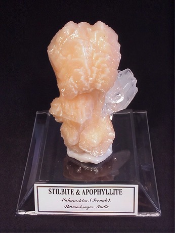 MINERAL BASE